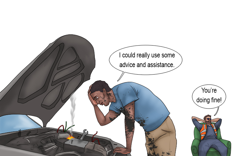 The customer had to service (customer service) his own car. The mechanic provided no advice or assistance.